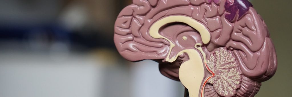 Brain Wellness Atlanta